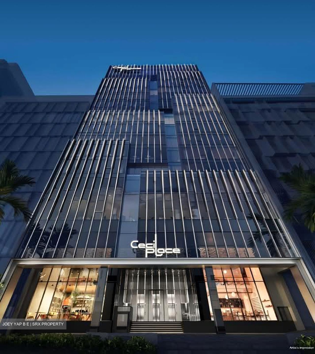 Cecil Suites (D1), Office #539007011